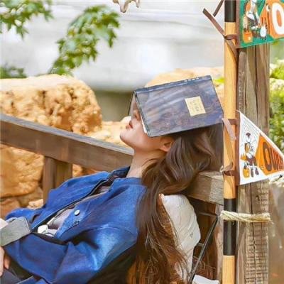 怪诞小镇第一季